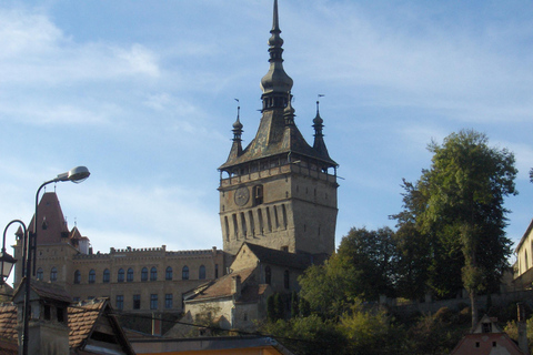 Brasov: Sighisoara Day Trip with Walking Tour