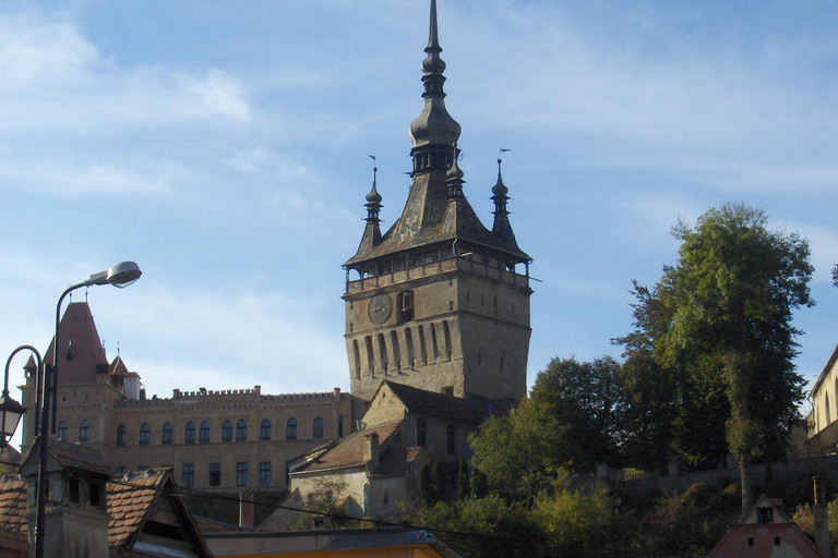 Brasov: Sighisoara Day Trip with Walking Tour