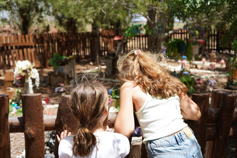 Cyprus: Healing Herbs & Adventure in the Maze Day Visit at Cyherbia Botanical Park