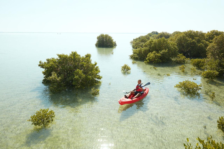 Doha : Visite privée du nord du Qatar, mangroves et fort de Zubara