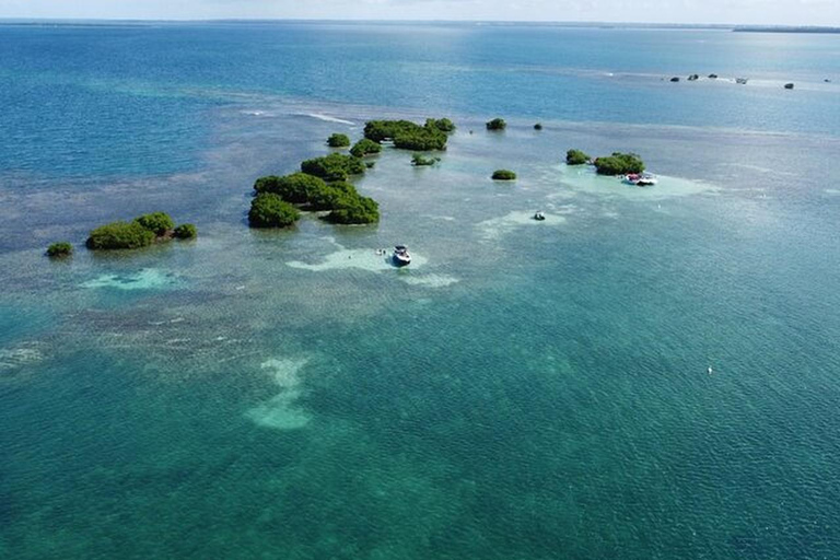 Guadeloupe: Small Day Cruise to Ilet Caret and Coral Reef