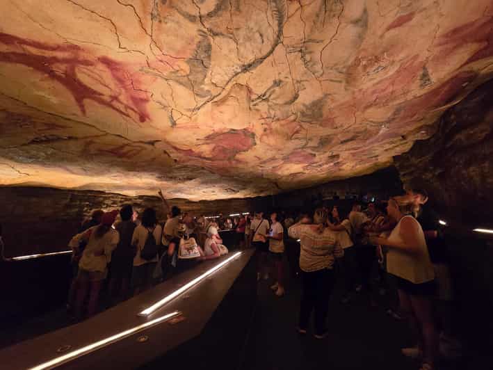 Visita privada Museo Altamira y neocueva: la fascinación de la ...