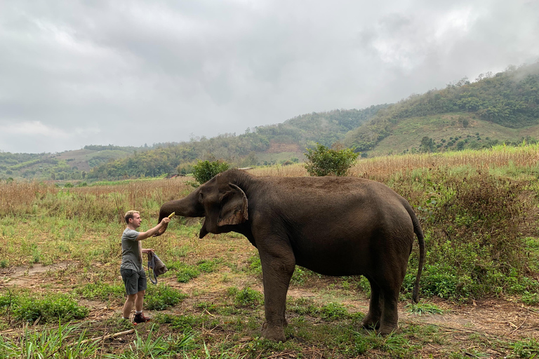 Chiang Mai: One Day Eco-Trek, Elephant care & Bamboo Rafting