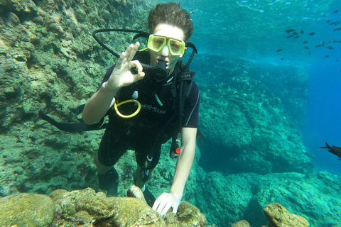 Side Underwater Museum Diving Adventure Side: Guided Scuba Diving Experience with Two Boat Dives