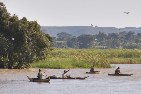 Bahir Dar: Lake Tana Monasteries & Blue Nile Falls Tour