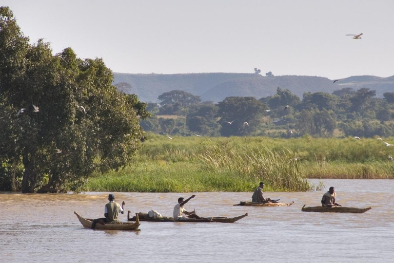 Bahir Dar: Lake Tana Monasteries & Blue Nile Falls Tour