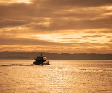 San Remo: Cruzeiro ao pôr do sol em Phillip Island