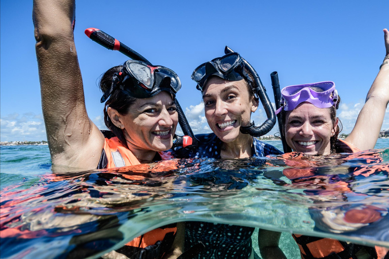 Discover an amazing reefsnorkel tour from Cancun!