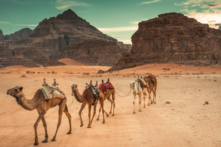 5-dniowa prywatna wycieczka do Ammanu Madaba Petra Wadi Rum Morze Martwe