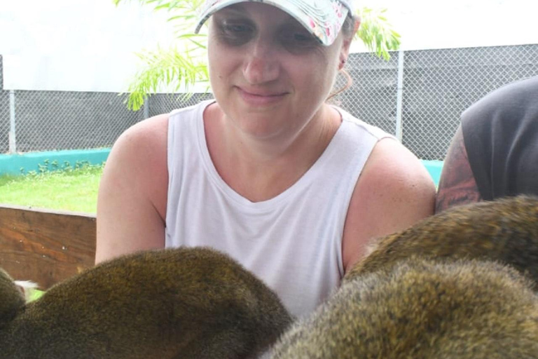 Puerto Plata: Exclusive Monkey Tour for Cruise Passengers