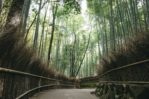 [From Osaka] Kyoto 1-Day Tour Miyama, Katsuo-ji & Arashiyama Osaka Round-trip