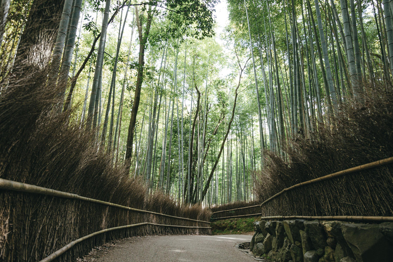 [From Osaka] Kyoto 1-Day Tour Miyama, Katsuo-ji & Arashiyama Osaka Round-trip