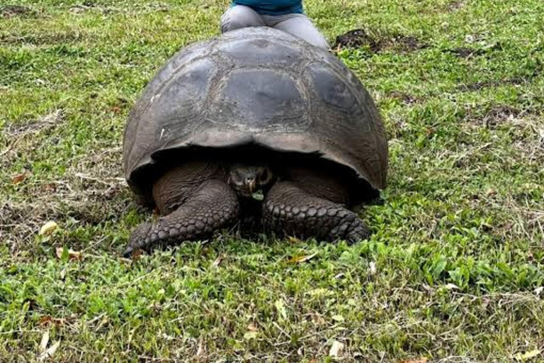 Zanzibar: Red Monkeys Forest Tour, Butterfly & Reptile Park. This option, No Hotel Pickup.