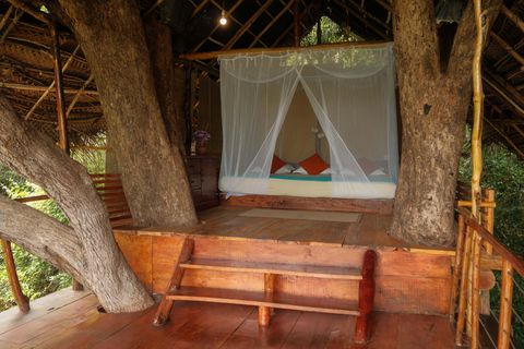 Sigiriya Treehouse Adventure – 3 Days 2 Nights from Colombo