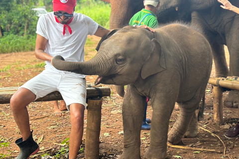 Chiang Mai: Sanktuarium słoni, wodospad i raftingOdbiór z hotelu