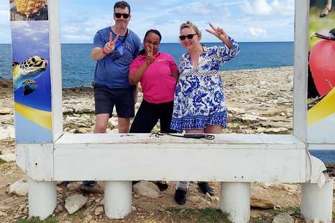 St.John's, Antigua: Stingray City & Long Bay Shore Excursion