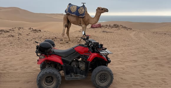Agadir: Quad Bike Tour, Camel Ride, and Tea Break
