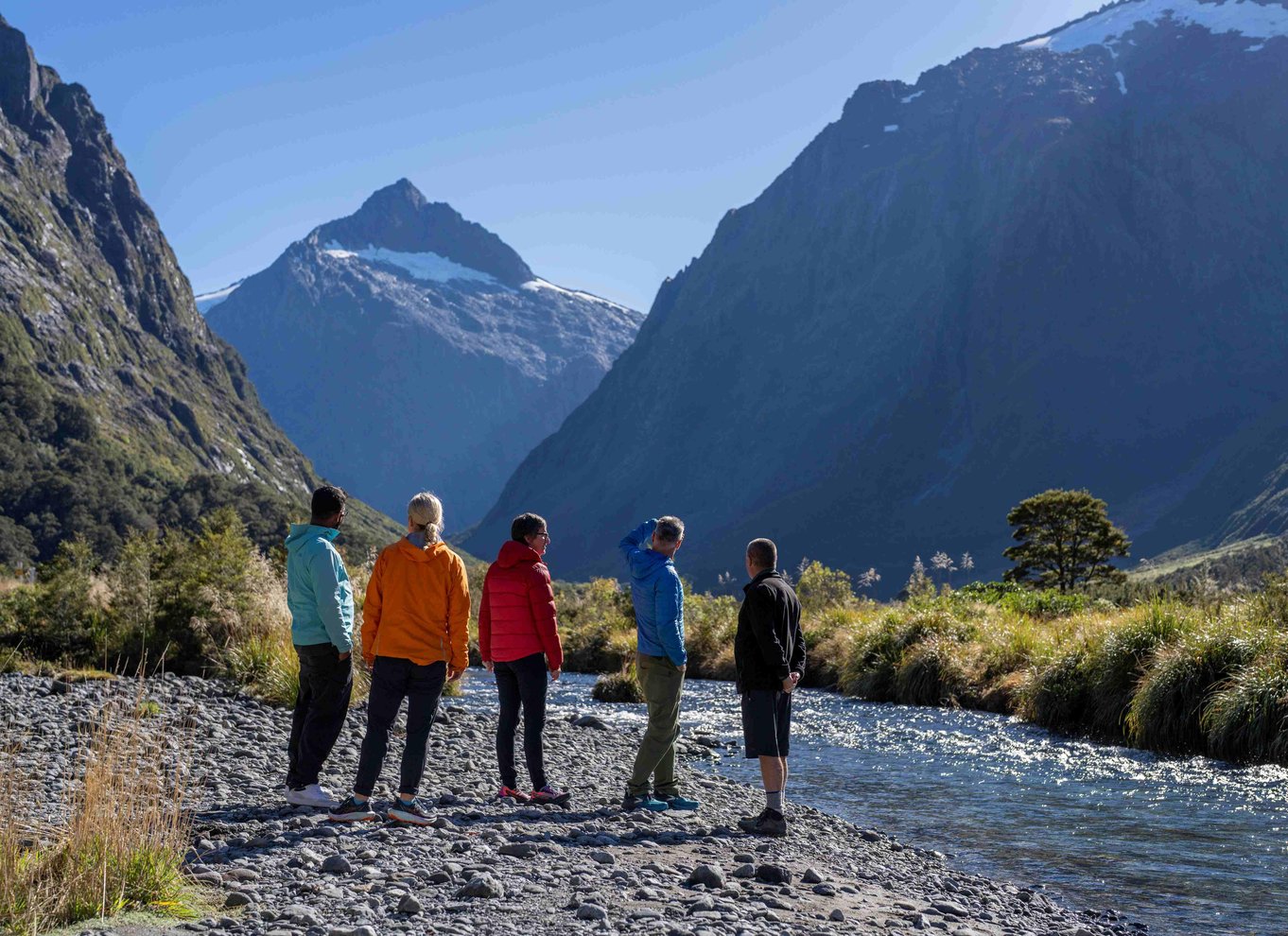 Fra Te Anau: Milford Sound bus, krydstogt og vandreture