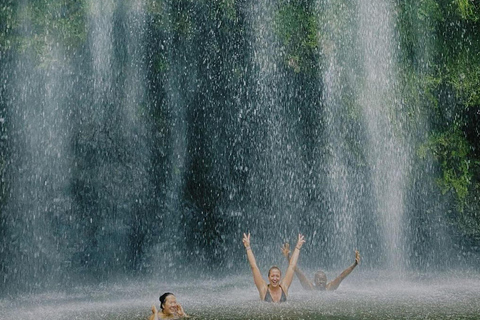 Excursion d&#039;une journée aux chutes d&#039;eau de Materuni et à la ferme de café