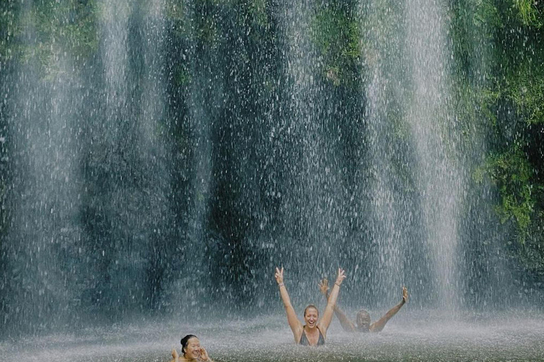 Excursion d&#039;une journée aux chutes d&#039;eau de Materuni et à la ferme de café