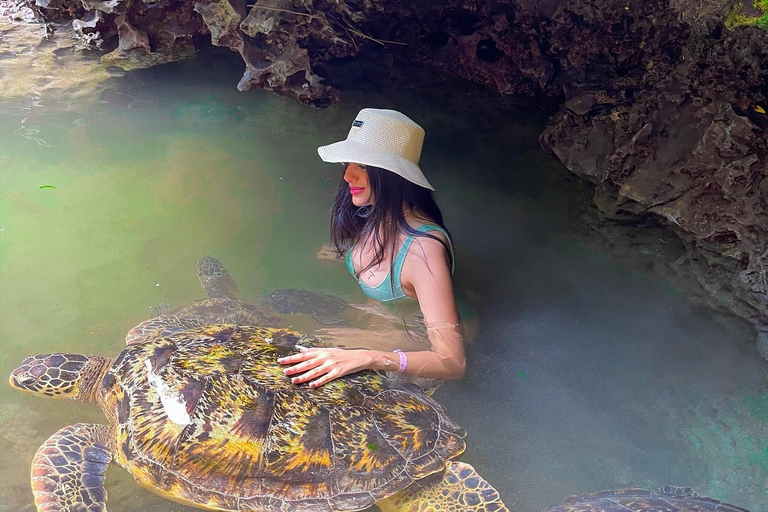 Sansibar: Insel Mnemba, Turles schwimmen mit Kendwa Strand