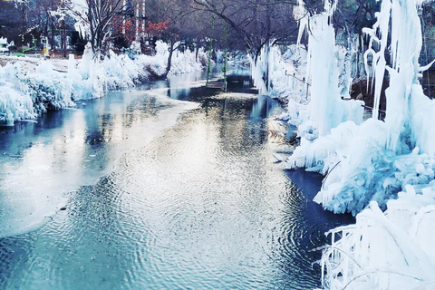 釜山：国民疗养公园和清松私人出租车之旅国民疗养公园和比叟山休闲森林