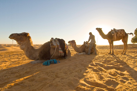 Departure from Djerba: Ksar Ghilaine 2 days & overnight in a tent From Djerba: 2-Day Ksar Ghilaine & Overnight Stay in a Tent