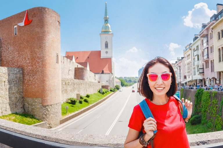 UFO Observation Deck Bratislava Private Tour with Admission