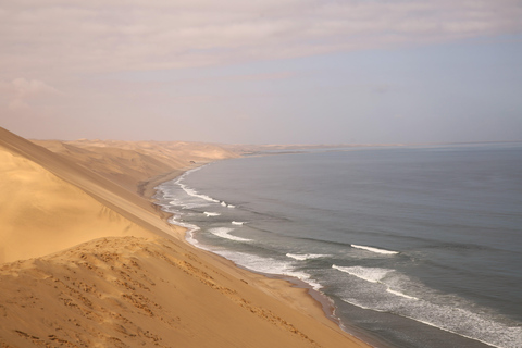 Sandwich Harbor: tour in 4x4 dove il mare incontra le duneSandwich Harbor: 4x4 Tour Where the See and Dunes Meet