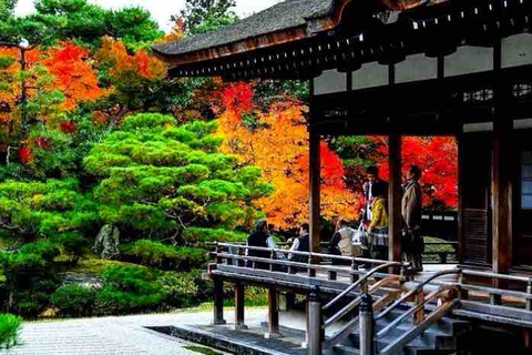 Kyoto: Private Customizable Day Tour with Guide