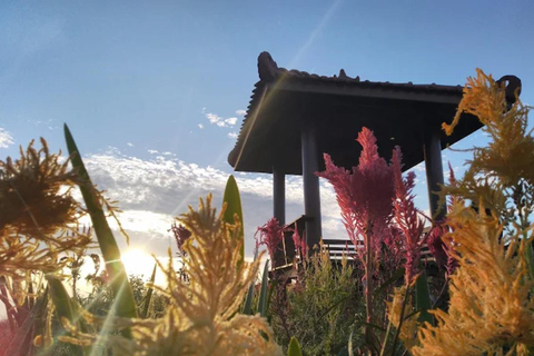 Tour dell'alba sul Monte Ireng e visita alla grotta di Jomblang e a PrambananTour dell'alba sul Monte Ireng, visita alla grotta di Jomblang e al Prambanan