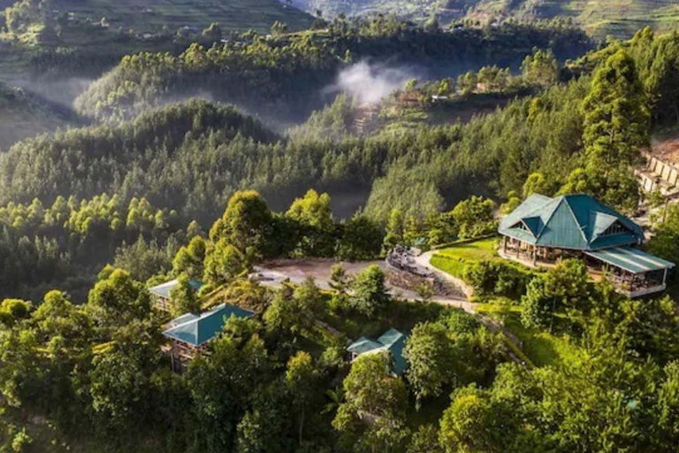 恩德培：9日乌干达大猩猩追踪与坦桑尼亚野生动物之旅恩德培：9天乌干达大猩猩追踪与坦桑尼亚野生动物园之旅