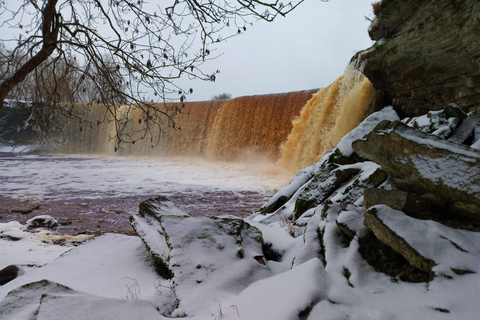From Tallinn: Jägala Waterfall and Bog Walk Tour