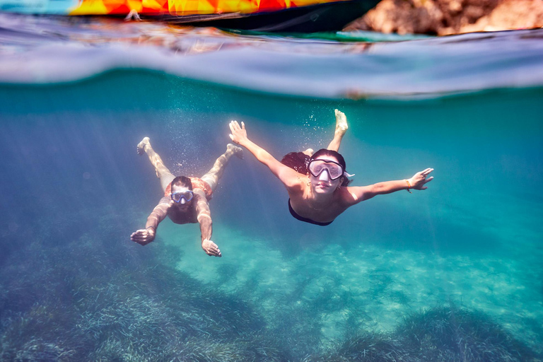 Mallorca: 3-stündige Bootstour zur Delfinbeobachtung am NachmittagTreffpunkt in Santa Ponsa