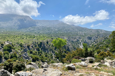 Creta: Tour guiado de senderismo por el Cañón de Kritsa