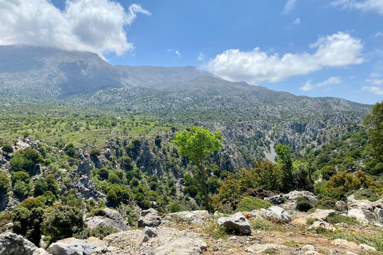Creta: Tour guiado de senderismo por el Cañón de Kritsa