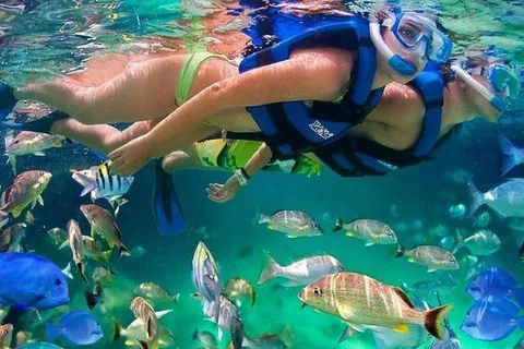 Cartagena: Snorkel na ilha Raccoon, mangue, fotos e almoço