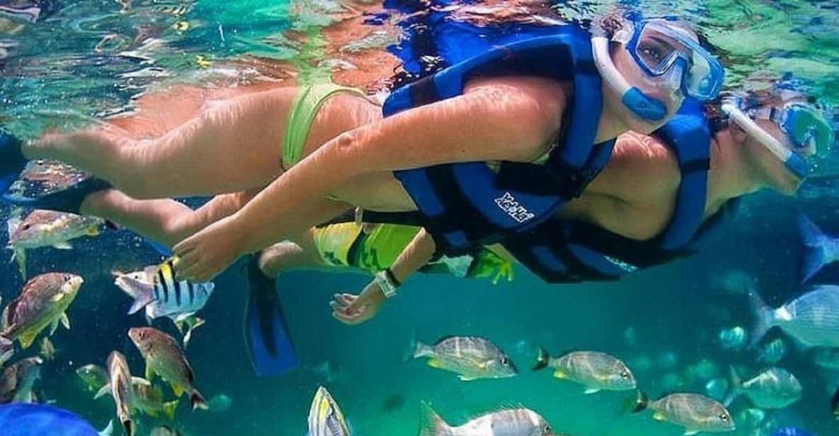 Cartagena: Snorkling på Raccoon Island, mangrove, bilder og lunsj