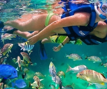 Cartagena: Snorkling på Raccoon Island, mangrove, fotos og frokost