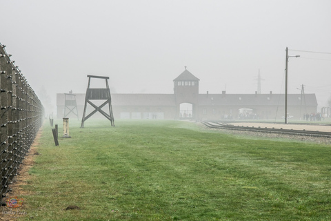 Från Krakow: Auschwitz-Birkenau-tur med transport