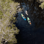 Noosa: Noosa Everglades and Stingray Sanctuary Kayak Tour