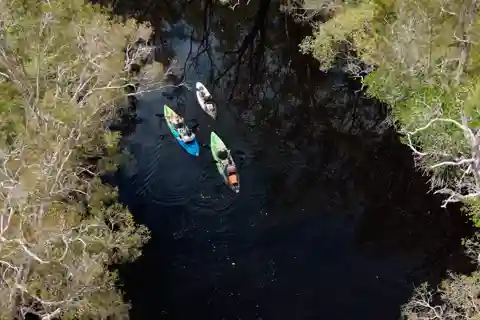 Noosa: Noosa Everglades and Stingray Sanctuary Kayak Tour