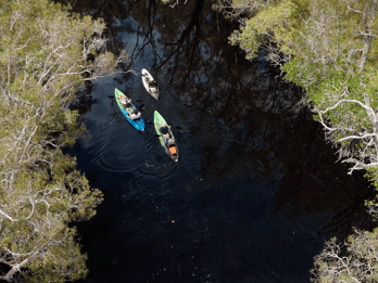 Noosa: Noosa Everglades and Stingray Sanctuary Kayak Tour