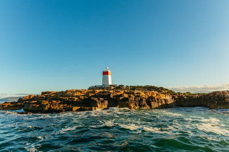 Hobart 2.5hour Iron Pot Lighthouse Cruise GetYourGuide
