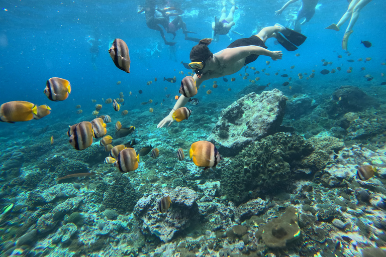 Z Bali: Snorkeling w Manta Point Nusa Penida i wycieczka lądowaSnorkeling i wycieczka po zachodnim lądzie (miejsce zbiórki - port Sanur)