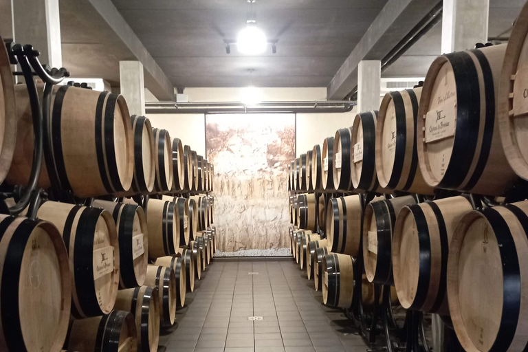 Tour del vino: la bellezza e i sapori dei vigneti di Bordeaux.