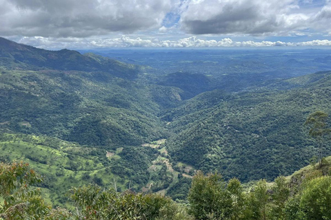 Ella: Pekoe Trail Stage 15 Guided Hike (Makulella to Ella)