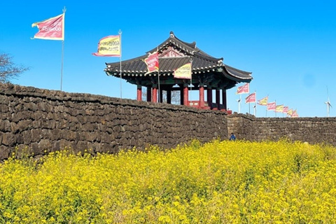 Jeju: UNESCO East Coast Small Group Tour with Hotel pickup