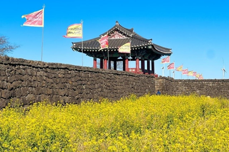 Jeju: UNESCO East Coast Small Group Tour with Hotel pickup