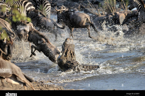 Masai Mara: safari di 4 giorni per la grande migrazione degli gnu